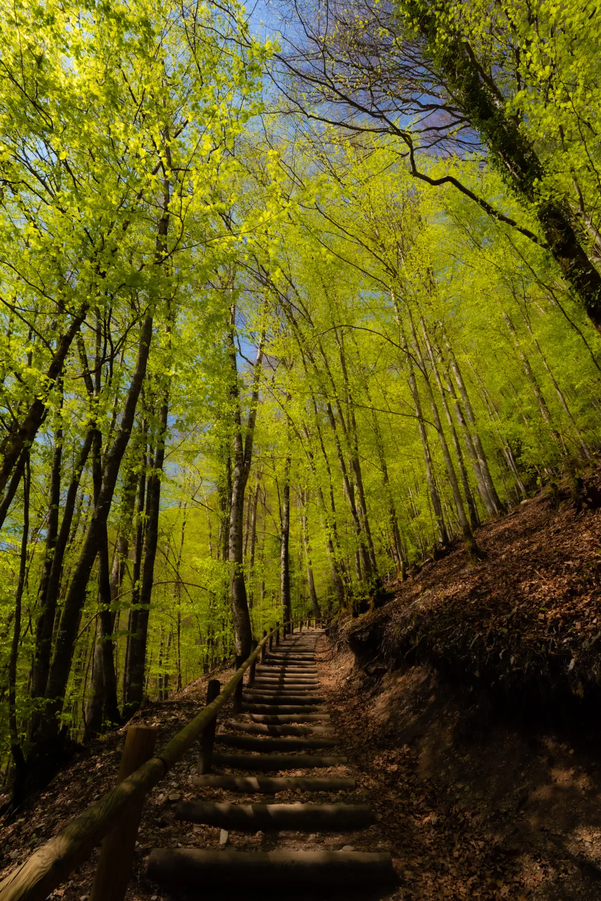 © Quentin Danel pour l'Office de Tourisme Lacs & Petite Montagne