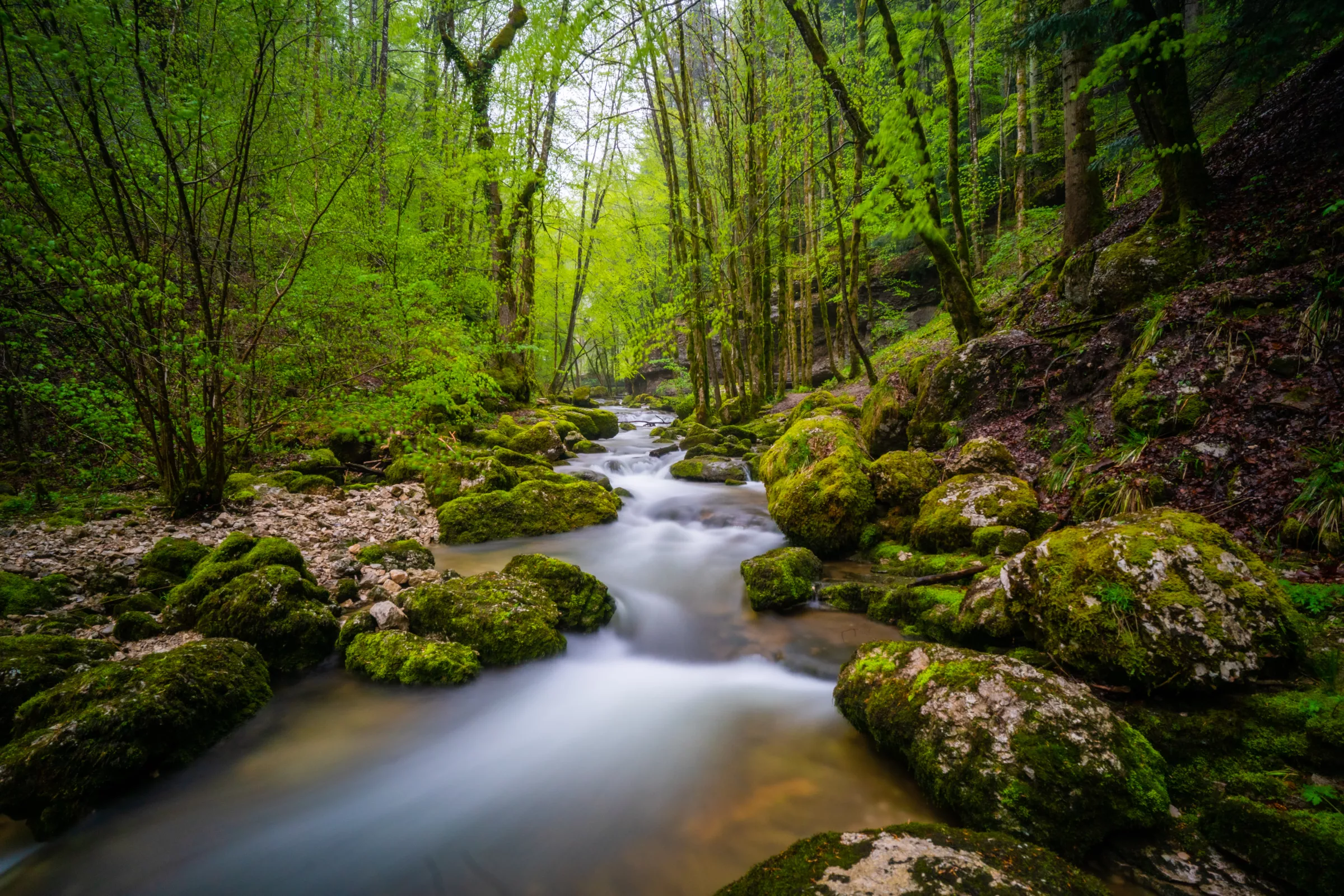 Cascades du Hérisson photographe