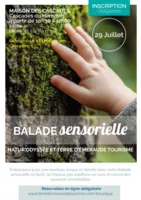 Mardi 15 et 29 juillet - Balade sensorielle par Natur'Odyssée