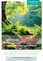 Mardi 19 août - Drôles de plantes par le CPIE du Haut-Jura