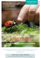 Mardi 19 août - Recherche de p'tites bêtes par le CPIE du Haut-Jura